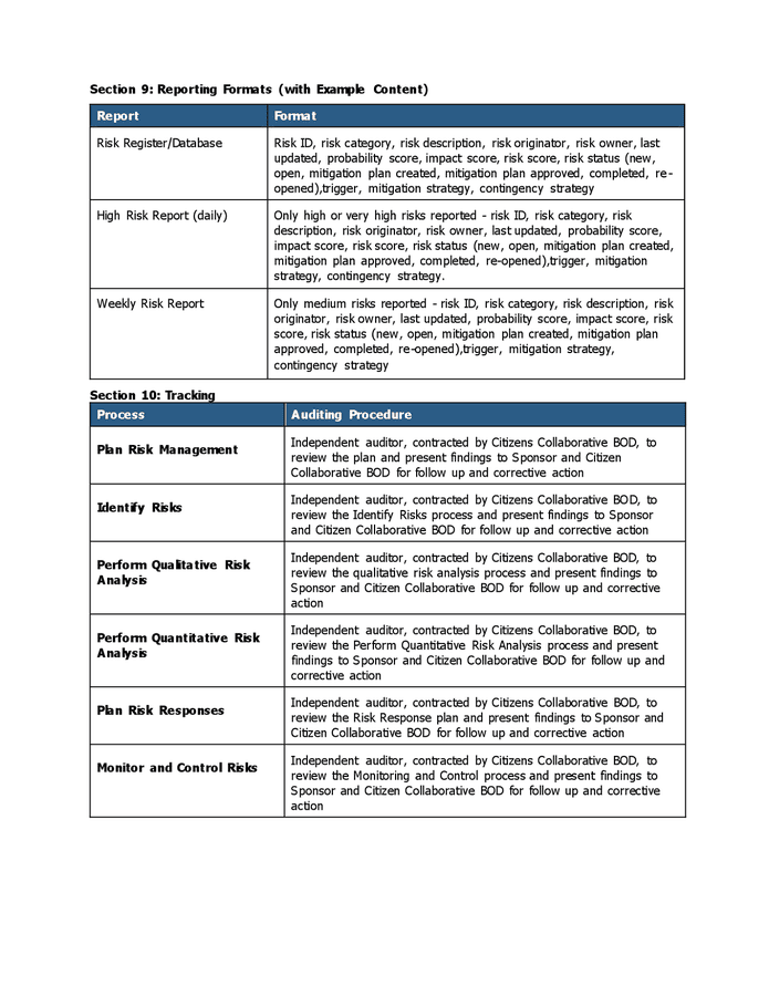 Risk Management Plan Template In Word And Pdf Formats Page Of