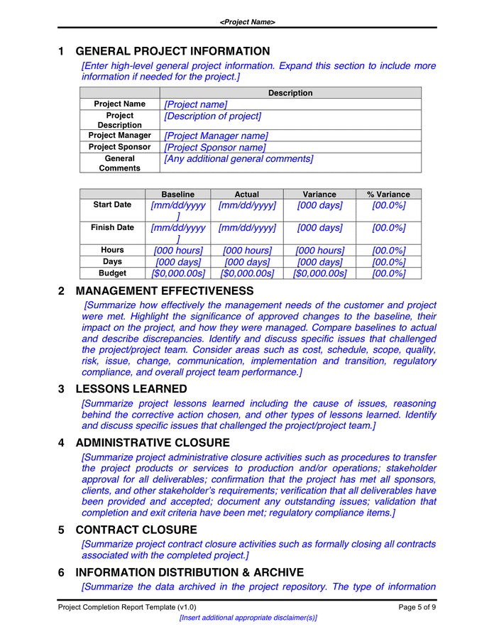 Project Completion Report Example