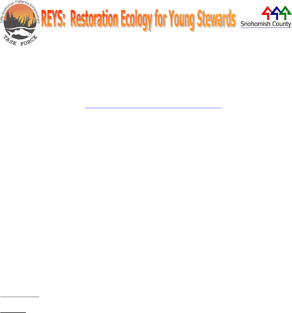 concept-map-examples-in-word-and-pdf-formats