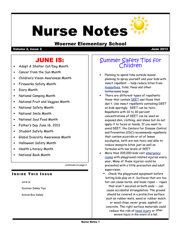Nurse Notes Template