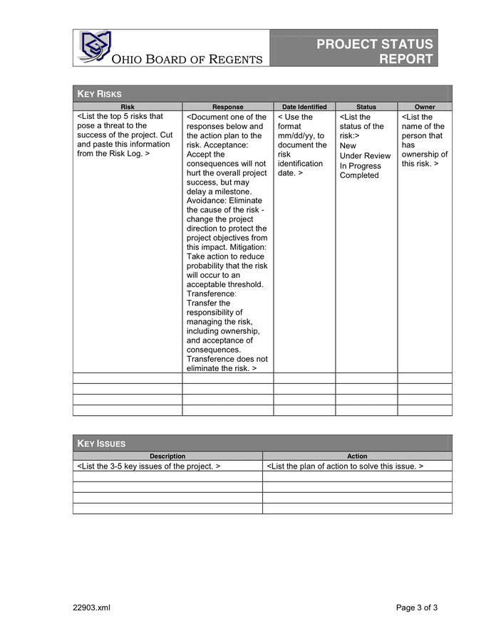 Project status report example pdf picture