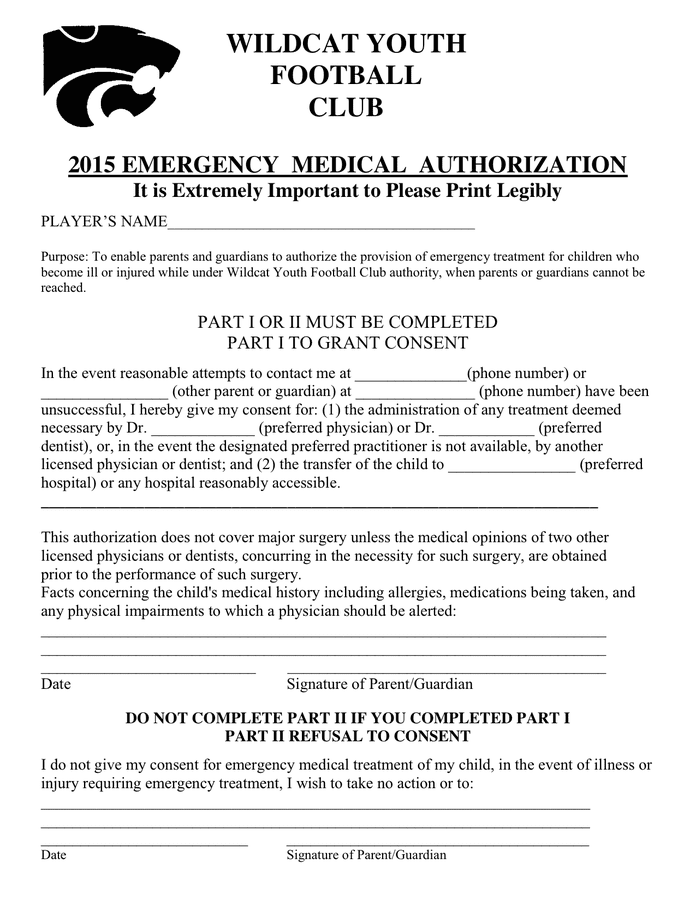 Emergency Medical Authorization in Word and Pdf formats