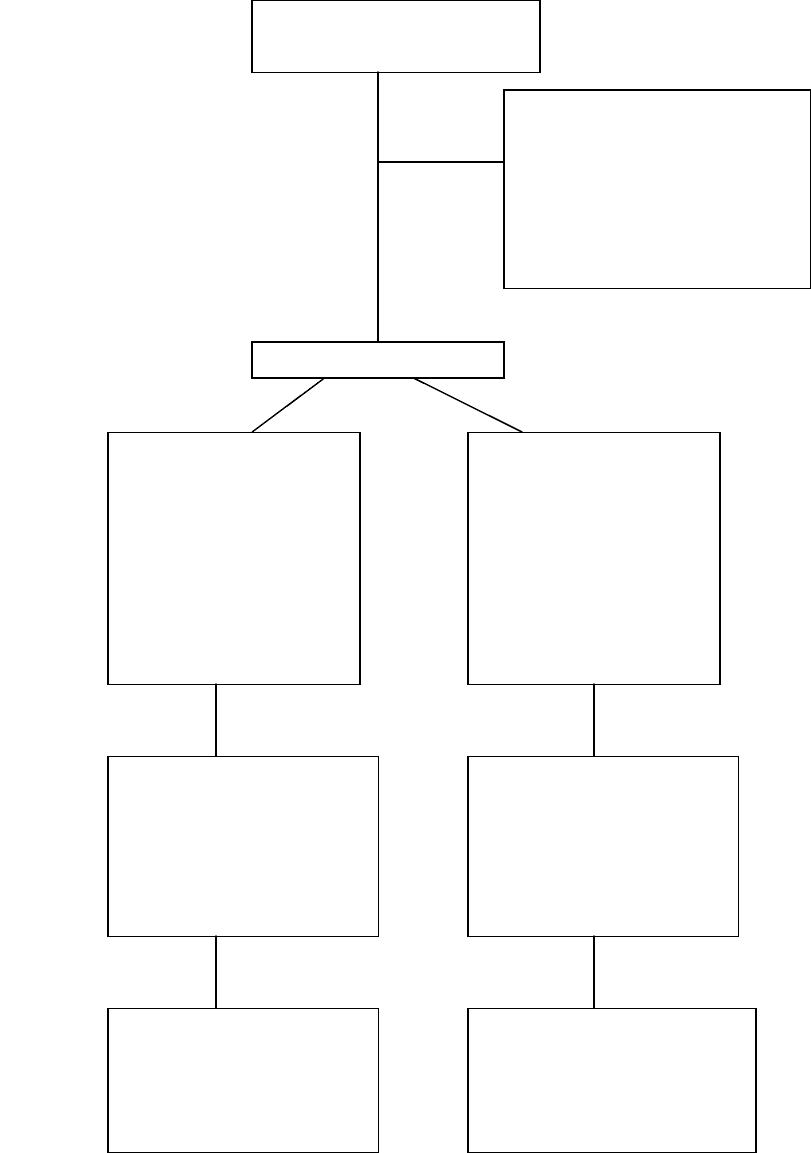 Consort Diagram Template