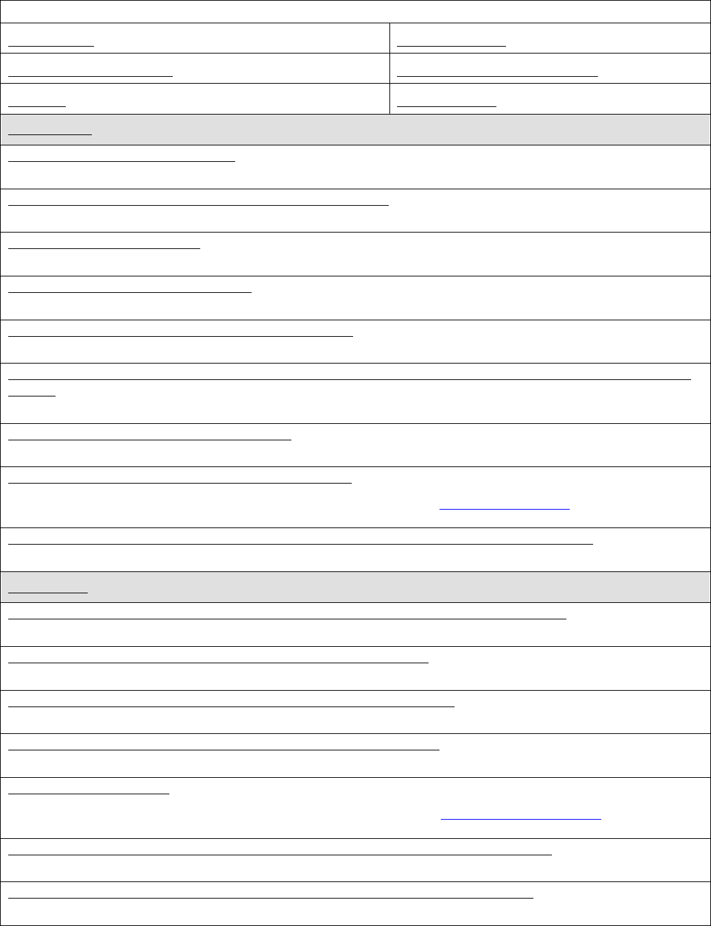 IT Project Low Risk Project Form