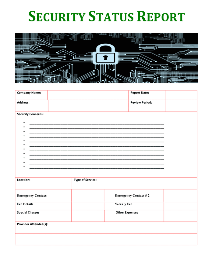 Security Report Template