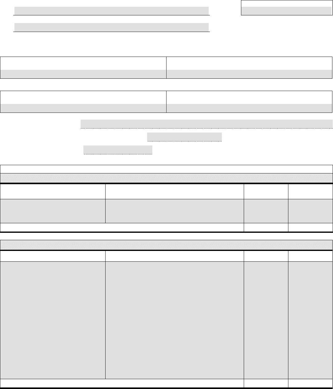 Form 13B net family property statement (Canada)