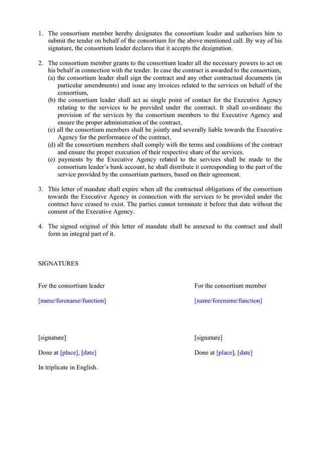 Letter of mandate in Word and Pdf formats page 2 of 2