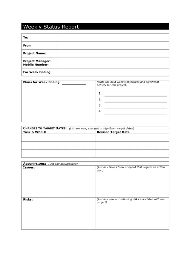 Weekly Status Report Template Excel