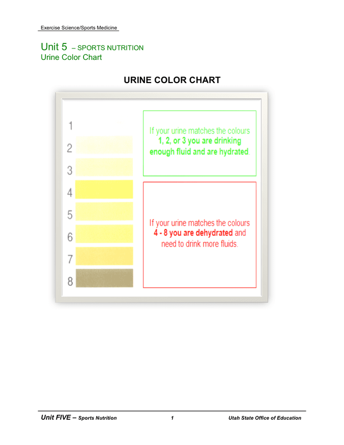 Urine color chart in Word and Pdf formats