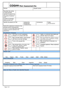 COSHH risk assessment form page 1 preview