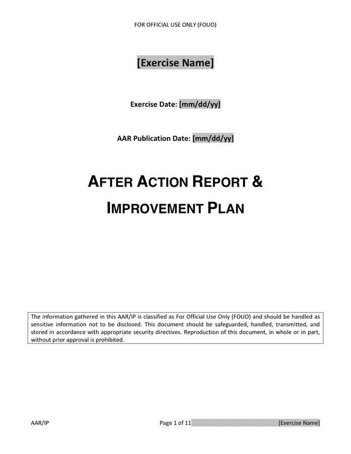 Executive Summary In Word And Pdf Formats Executive Summary In Word And Pdf Formats