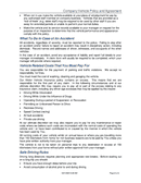 Vehicle Use Policies - download free documents for PDF, Word and Excel