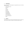 Testing strategy template in Word and Pdf formats