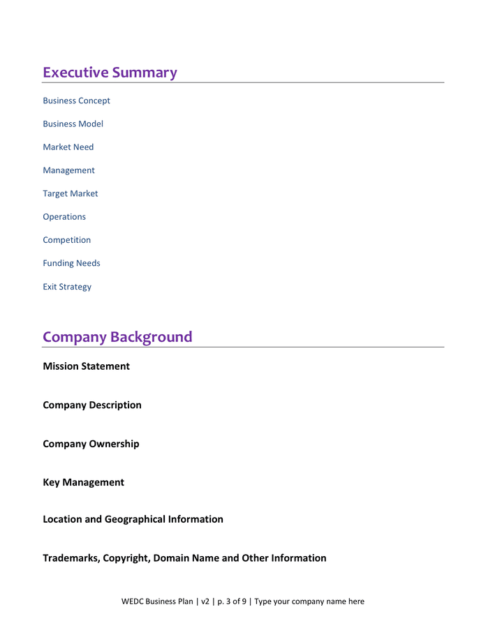 Business Plan in Word and Pdf formats - page 3 of 9