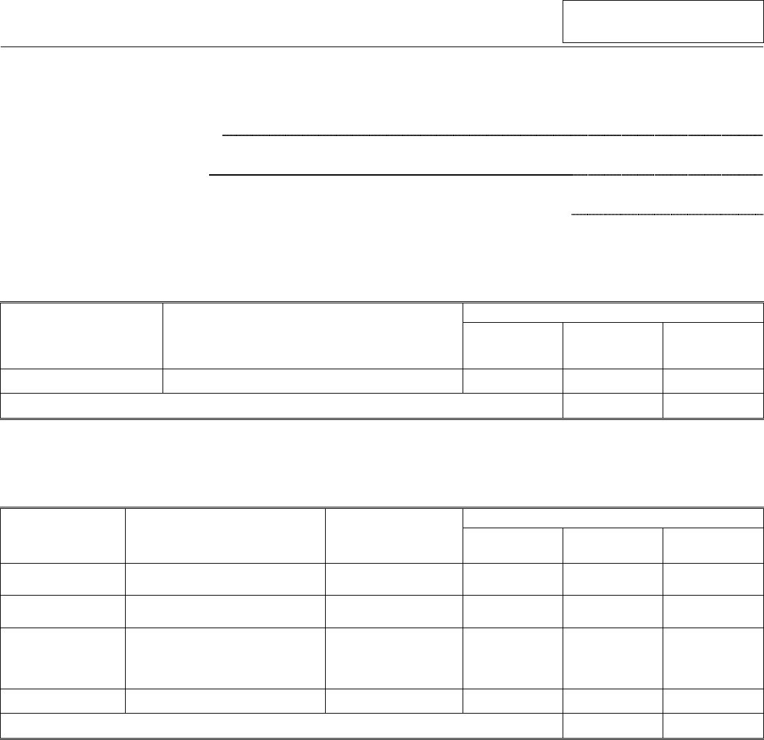 Financial Statement Form in Word and Pdf formats - page 5 of 9