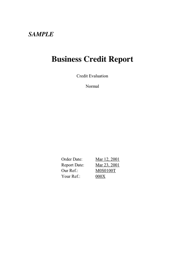 Sample Credit Report - Download Free Documents For PDF, Word And Excel