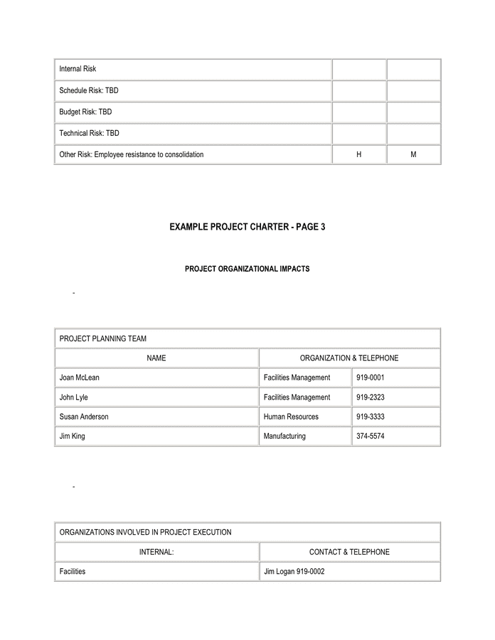 Example project charter in Word and Pdf formats - page 5 of 8