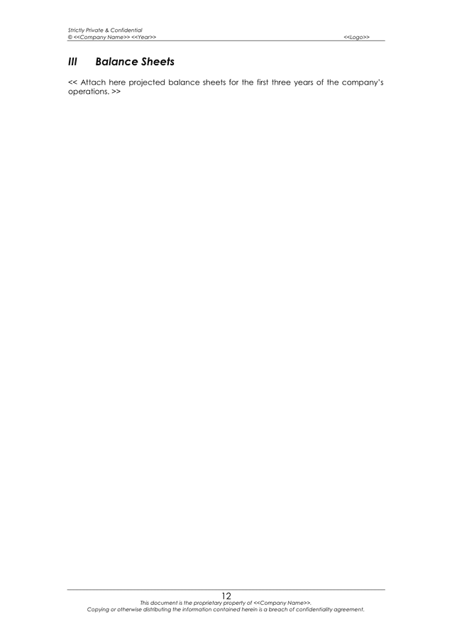 business plan template in Word and Pdf formats - page 15 of 19
