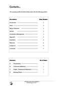 COMPANY PROFILE page 2 preview