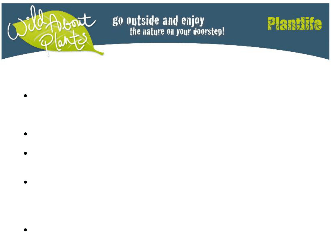 APPLICATION FOR EMPLOYMENT Sample in Word and Pdf formats