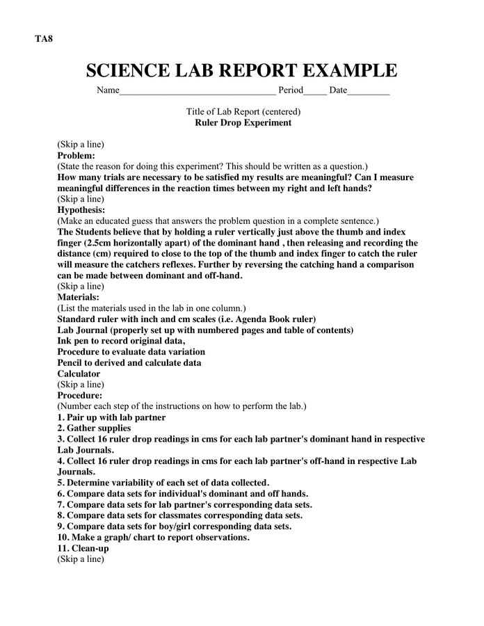 science experiment report format