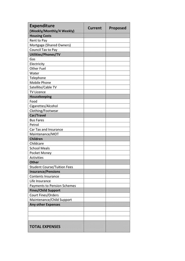 Financial Statement in Word and Pdf formats - page 2 of 3