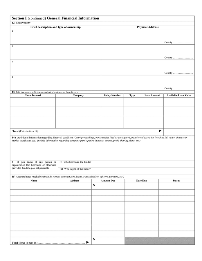 Individual Debtor Financial Statement in Word and Pdf formats page 2 of 4
