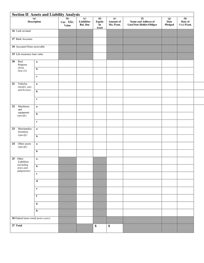 Individual Debtor Financial Statement in Word and Pdf formats - page 3 of 4