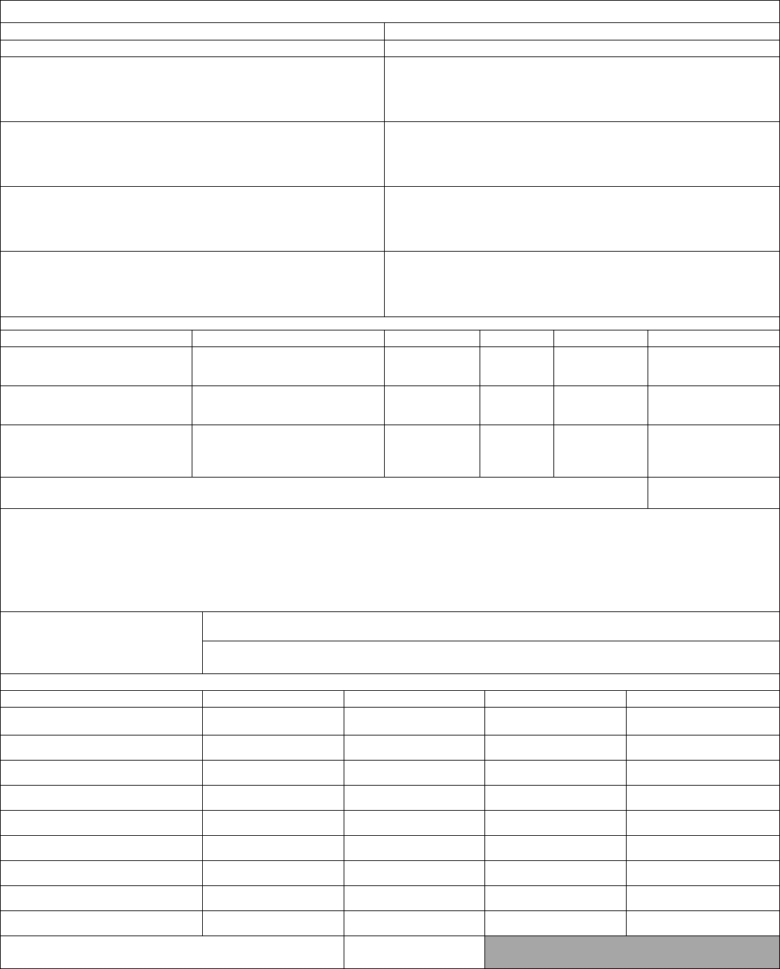 Individual Debtor Financial Statement in Word and Pdf formats - page 2 of 4