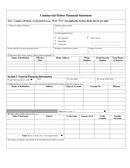 Individual Debtor Financial Statement page 1 preview