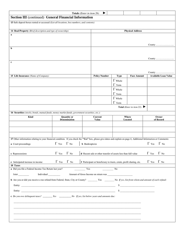 Individual Debtor Financial Statement in Word and Pdf formats page 2 of 4