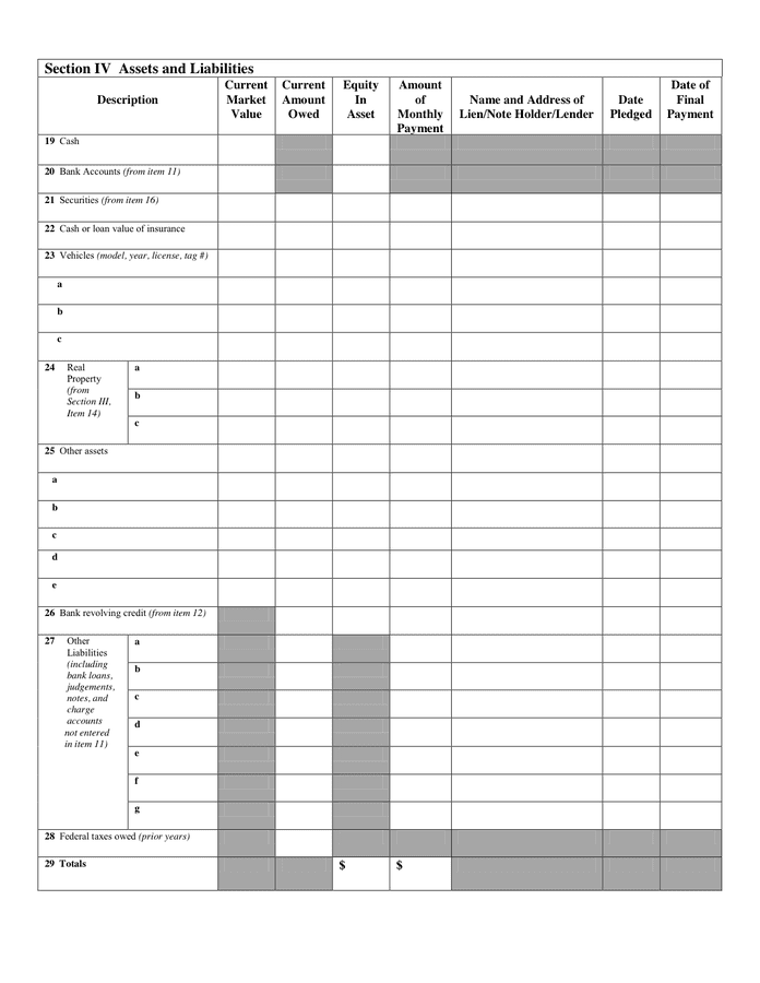 individual-debtor-financial-statement-in-word-and-pdf-formats-page-3-of-4