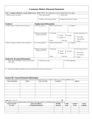Individual Debtor Financial Statement page 1 preview
