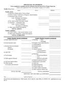 FINANCIAL STATEMENT Template page 1 preview