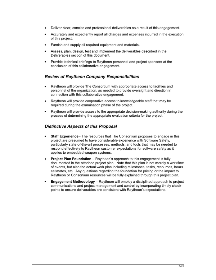 Statement of Work Template in Word and Pdf formats - page 6 of 16