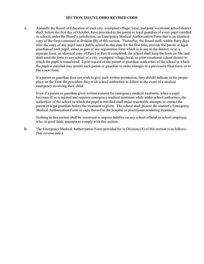 EMERGENCY MEDICAL AUTHORIZATION in Word and Pdf formats - page 2 of 2