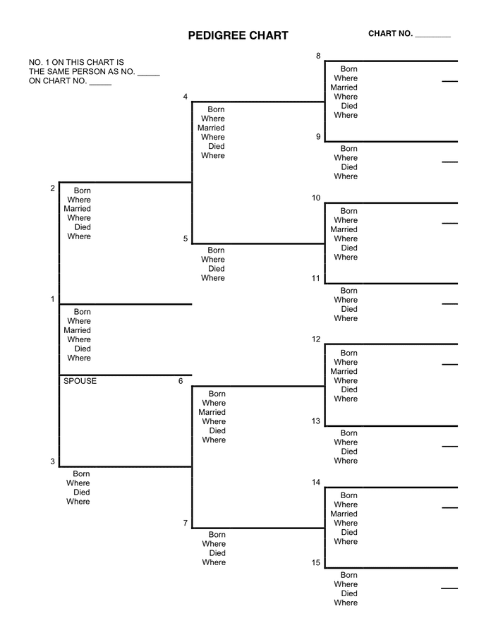 PEDIGREE CHART In Word And Pdf Formats