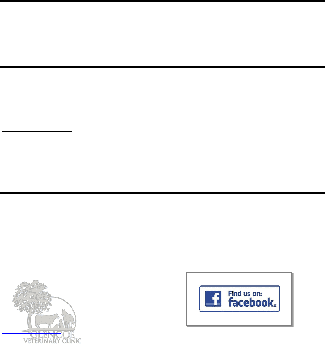 INFORMATION and FINANCIAL STATEMENT