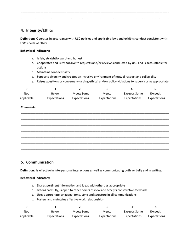 Performance Evaluation Template in Word and Pdf formats - page 3 of 12