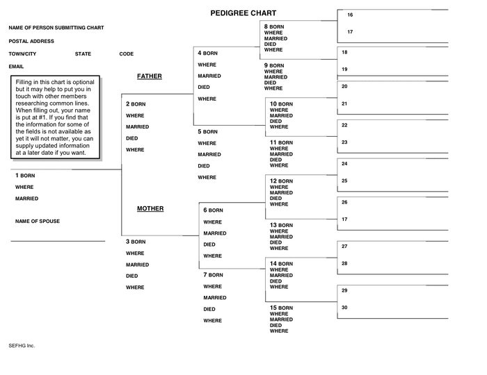 PEDIGREE CHART in Word and Pdf formats