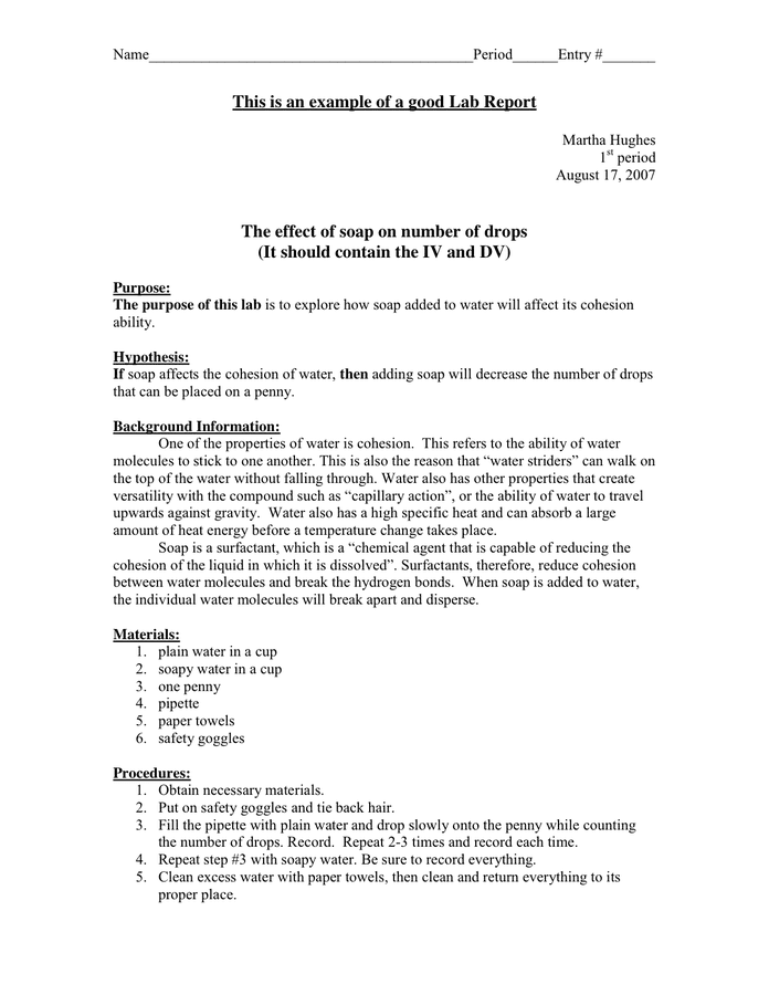 Lab Report Example - download free documents for PDF, Word and Excel