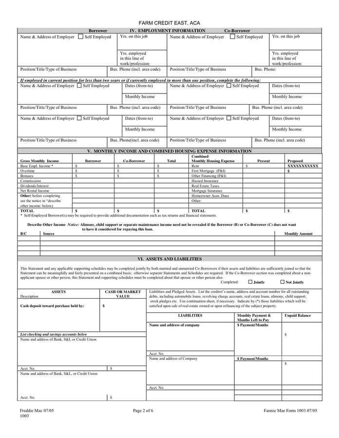 country-home-loan-application-in-word-and-pdf-formats-page-2-of-6