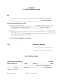 General Affidavit - download free documents for PDF, Word and Excel