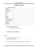 COMPANY PROFILE page 1 preview