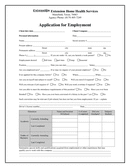 Application for Employment page 1 preview