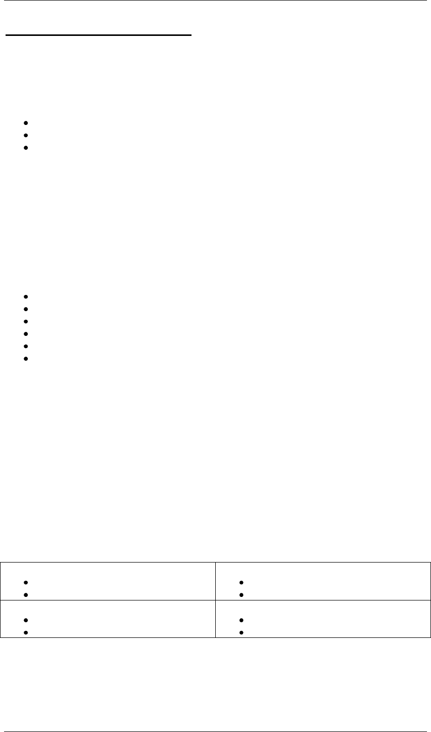 business plan template in Word and Pdf formats - page 5 of 19