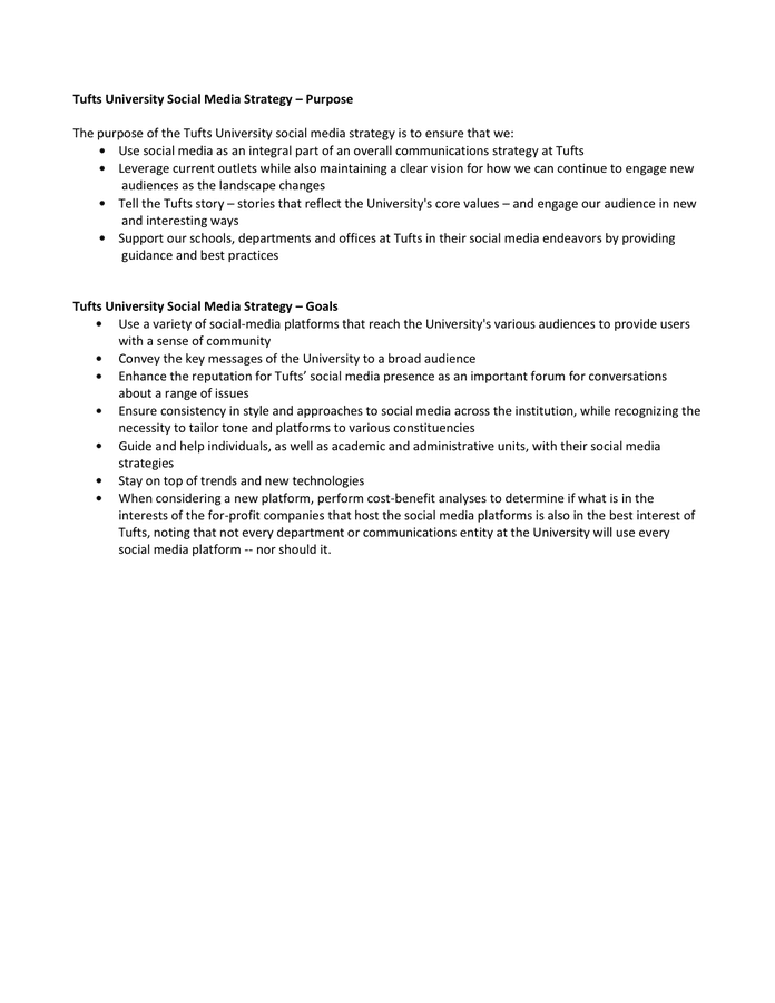 Social Media Strategy in Word and Pdf formats page 4 of 4