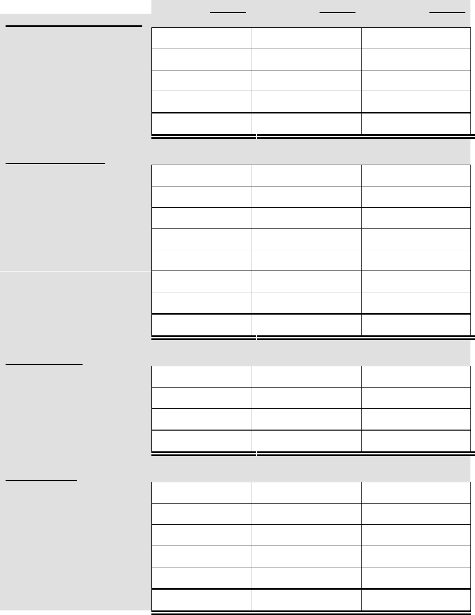 BUSINESS PLAN TEMPLATE In Word And Pdf Formats Page 17 Of 20