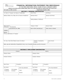 Financial information statement for individuals form page 1 preview