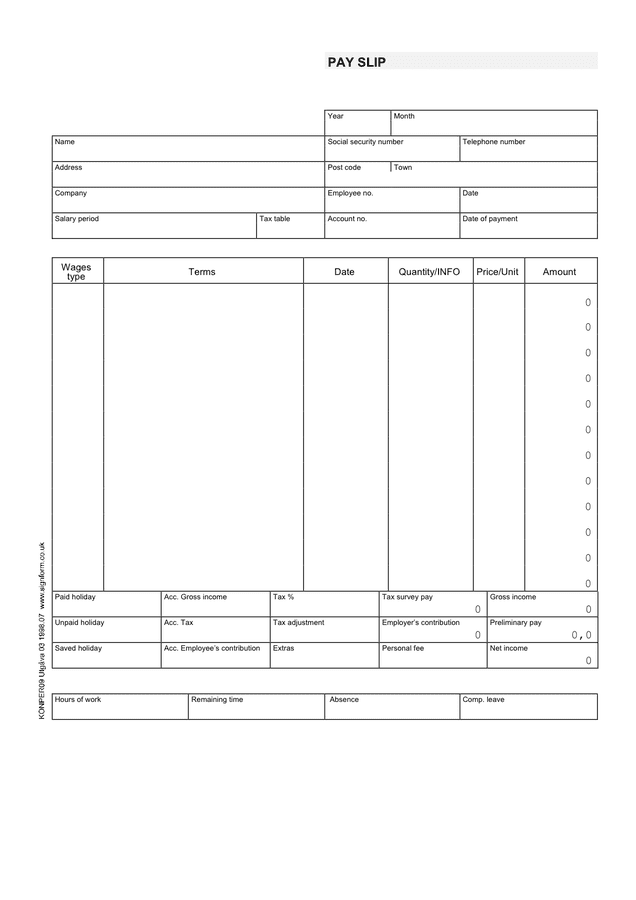 Pay stub template preview